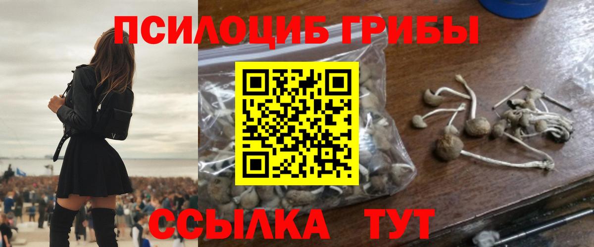Псилоцибиновые грибы Psilocybine cubensis Серпухов