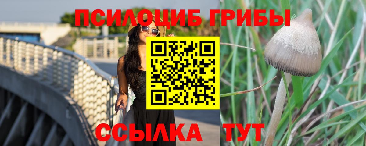 Серпухов  Псилоцибиновые грибы мухоморы  Вход с VPN 